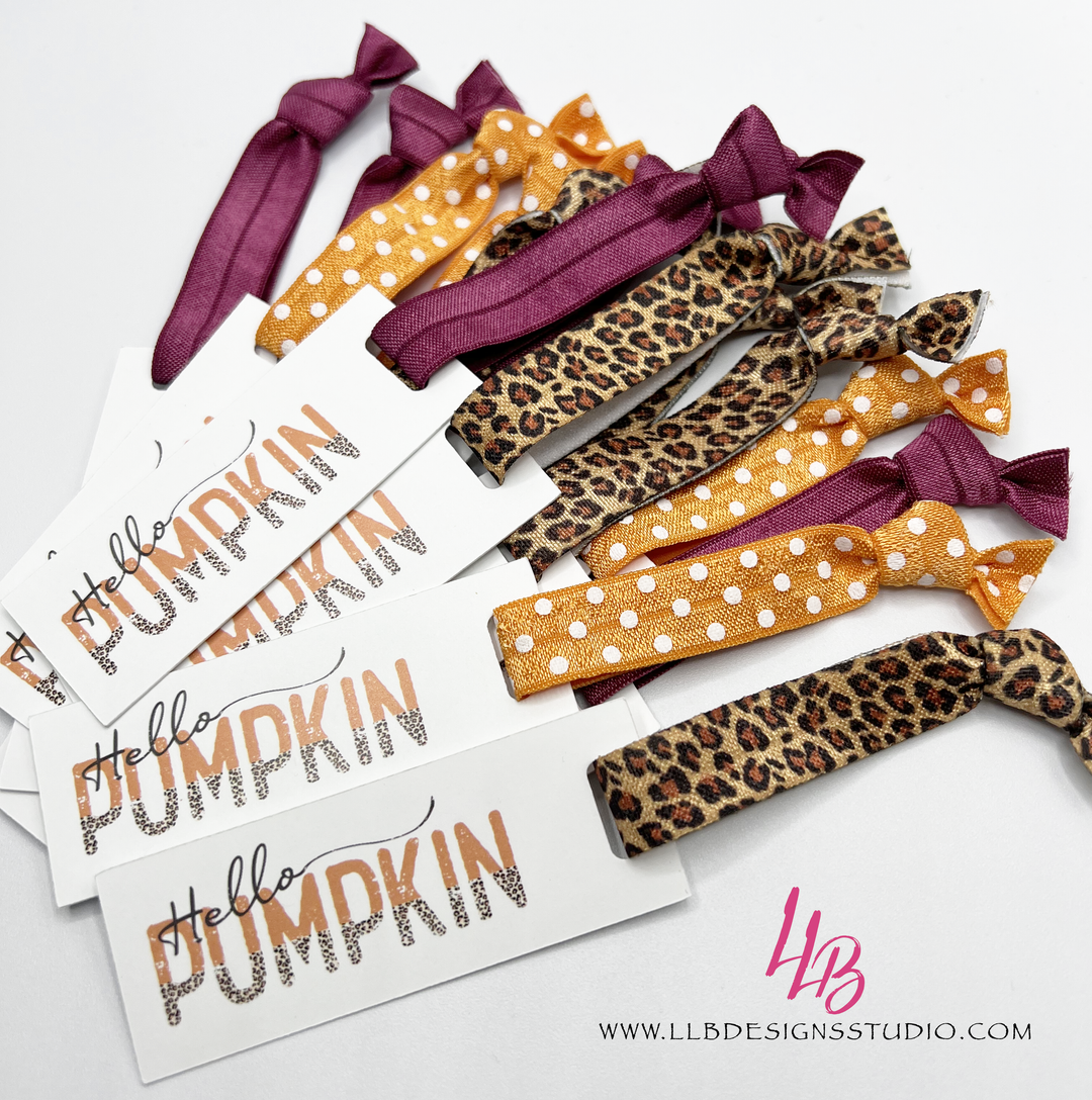 Fall Colors - Hello Pumpkins MIni Cards l Mini Hair Tie Card  | 25 Hair Ties + Cards | SKU: HM62